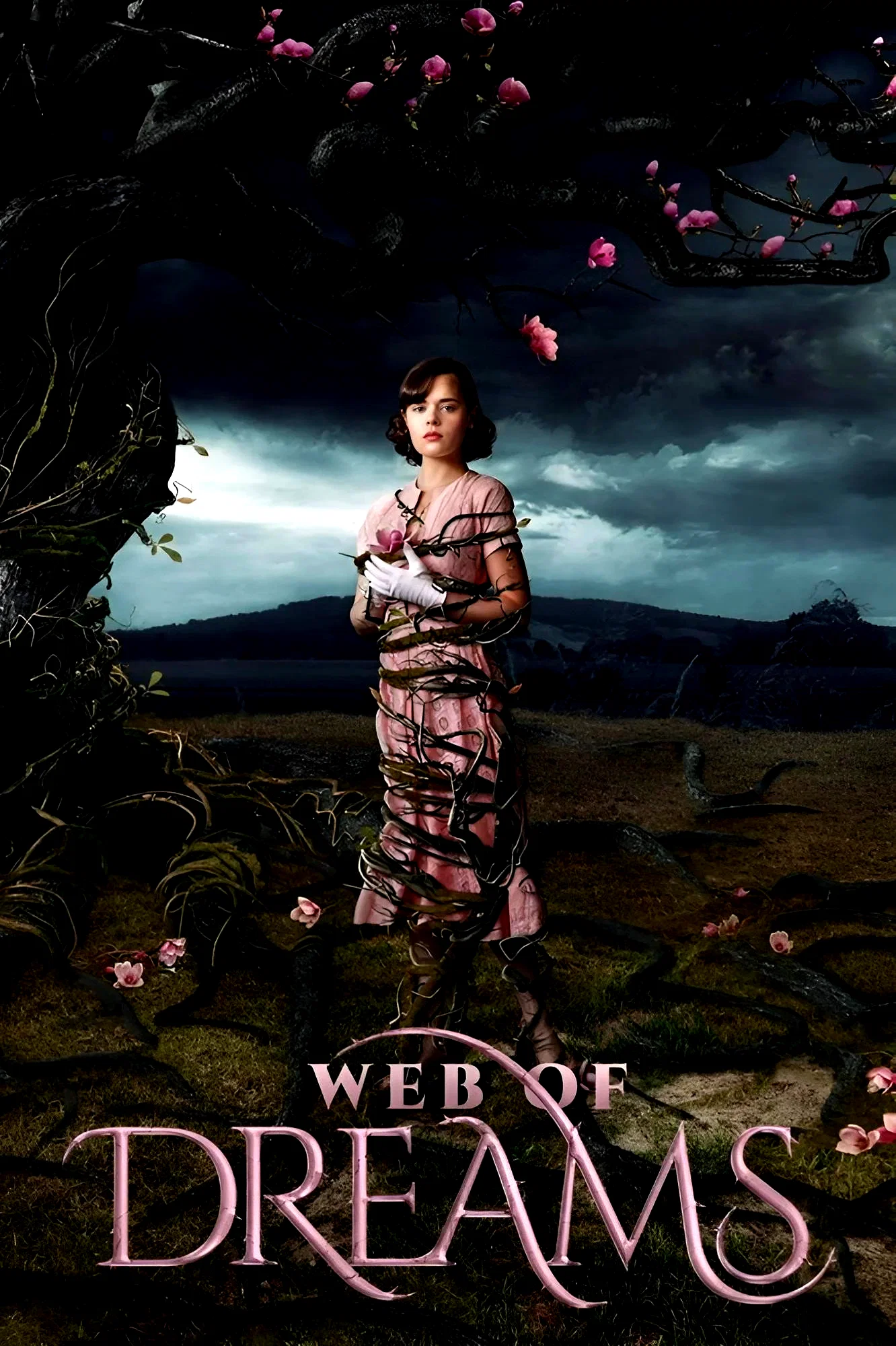 Affiche du film : Web of Dreams