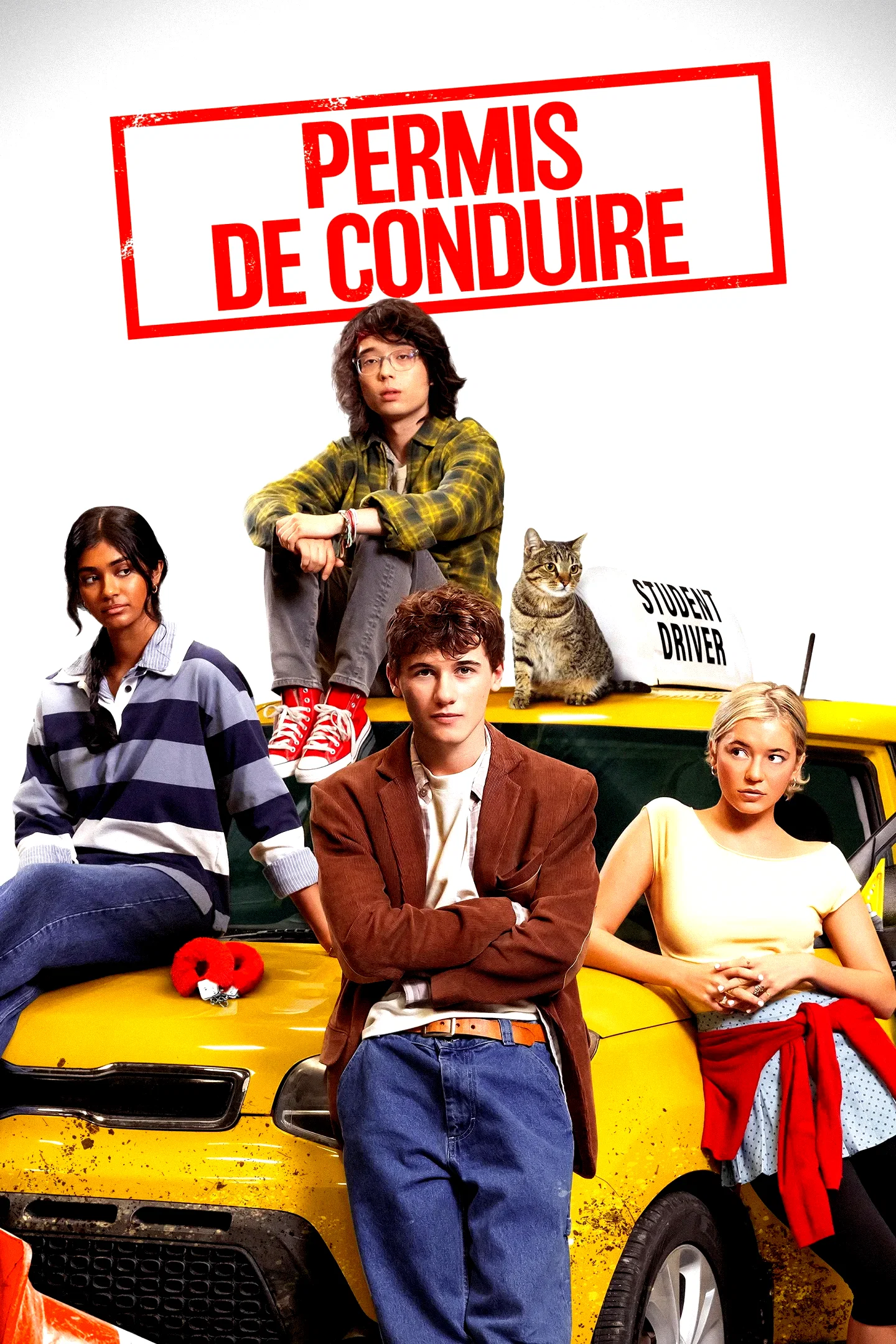 Affiche du film : Permis de Conduire