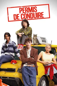 Affiche du film Permis de Conduire