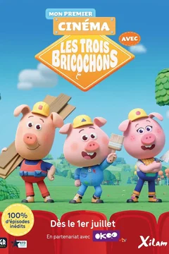 Affiche du film : Mon premier cinéma avec Les Trois Bricochons