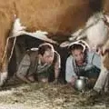 Miniature photo du film : Bienvenue en Suisse