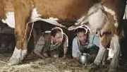 Affiche du film : Bienvenue en Suisse