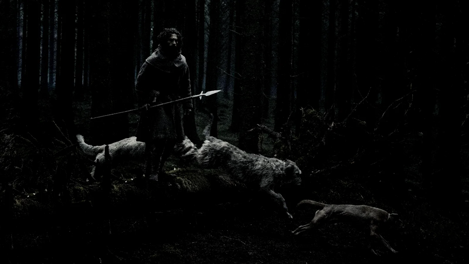 Photo 3 du film : Werwulf