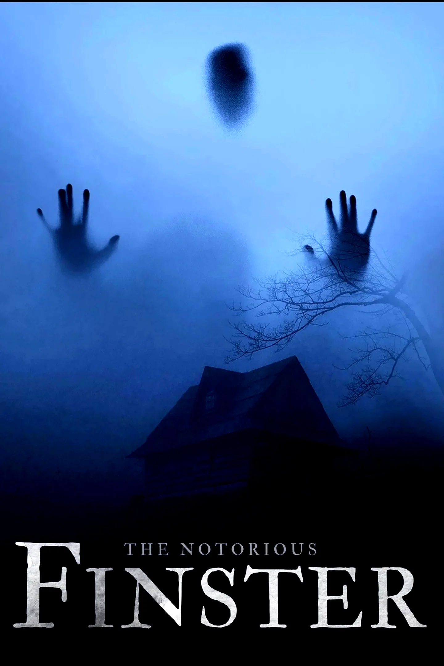 Affiche du film : The Notorious Finster