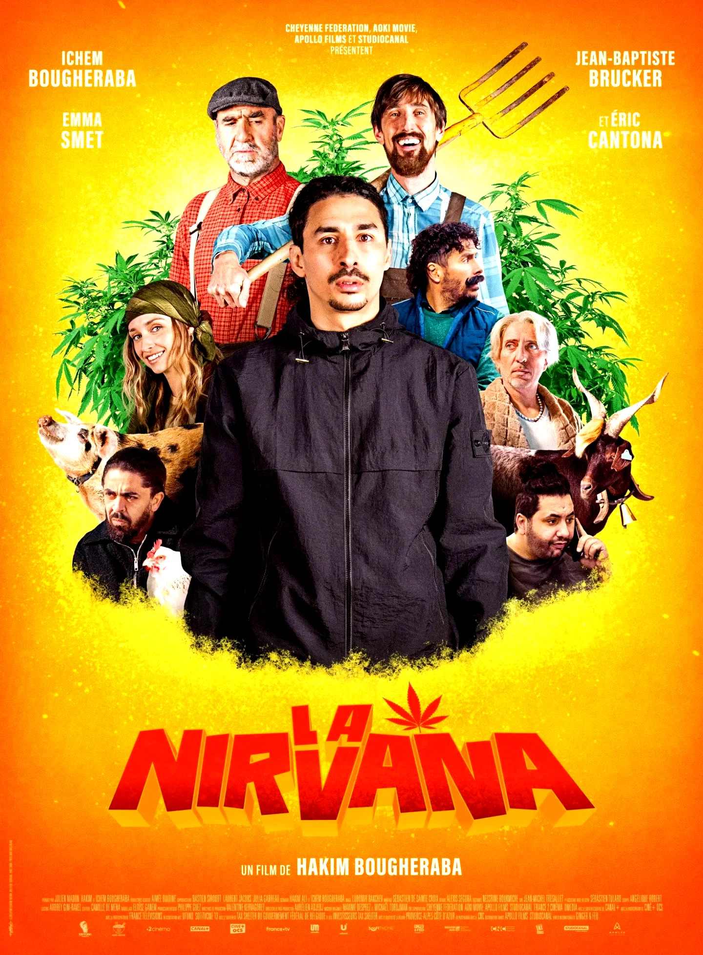 Affiche du film : La Nirvana