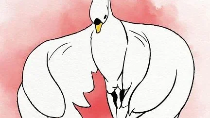 Affiche du film : Le Cygne et l'enfant