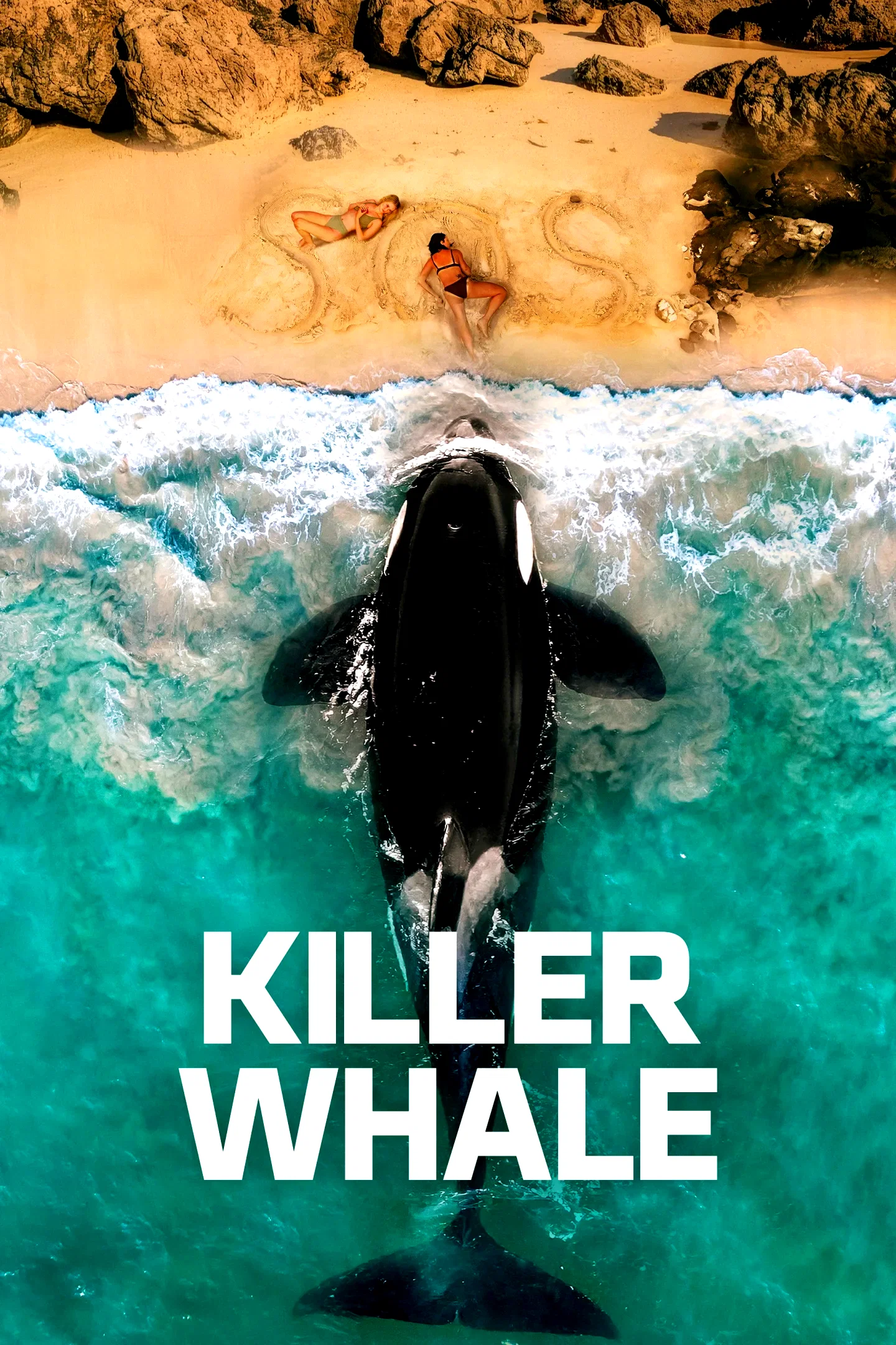 Photo 2 du film : Killer Whale