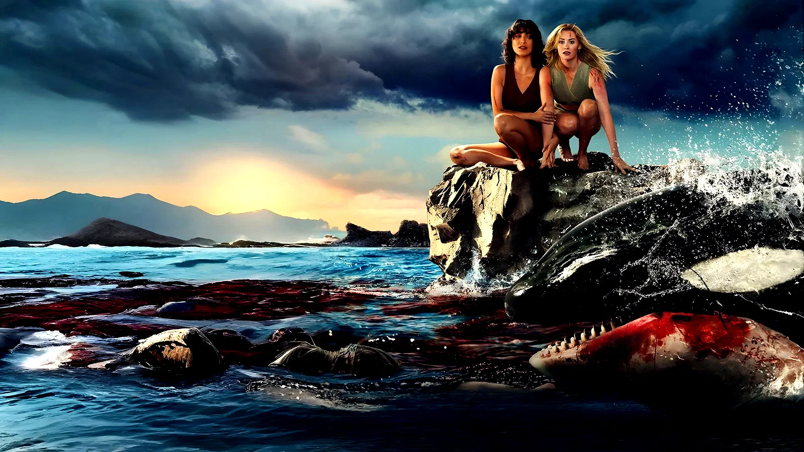 Photo 3 du film : Killer Whale