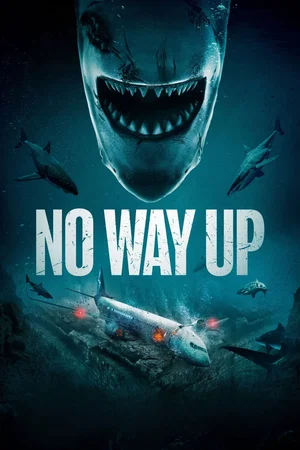 Affiche du film : No Way Up