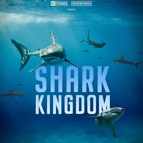Photo du film : Shark Kingdom