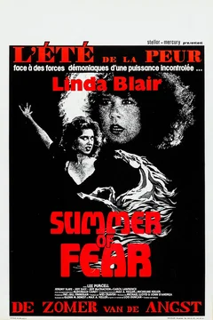 Affiche du film L'ete de la peur