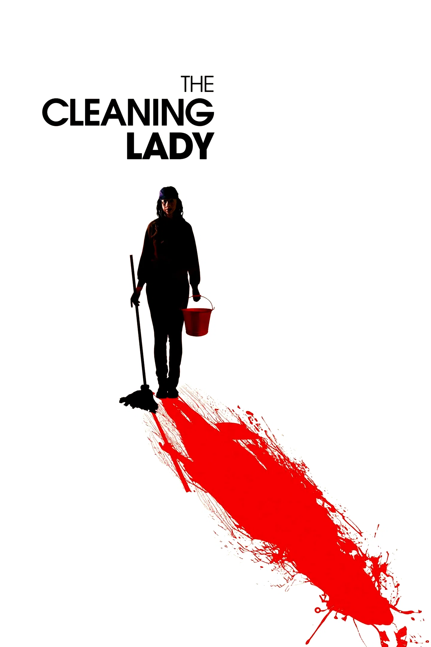 Affiche du film : The Cleaning Lady