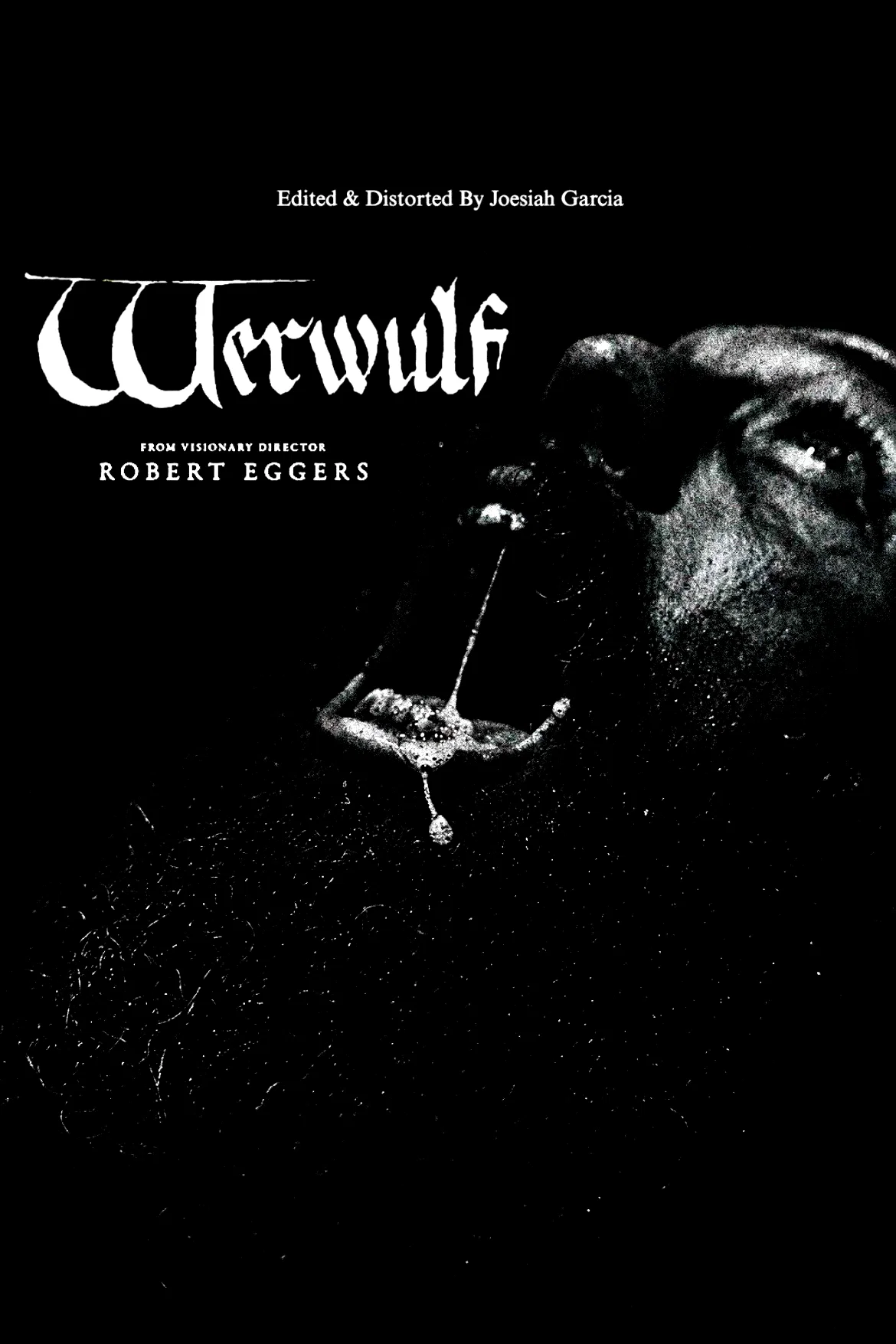 Photo 11 du film : Werwulf