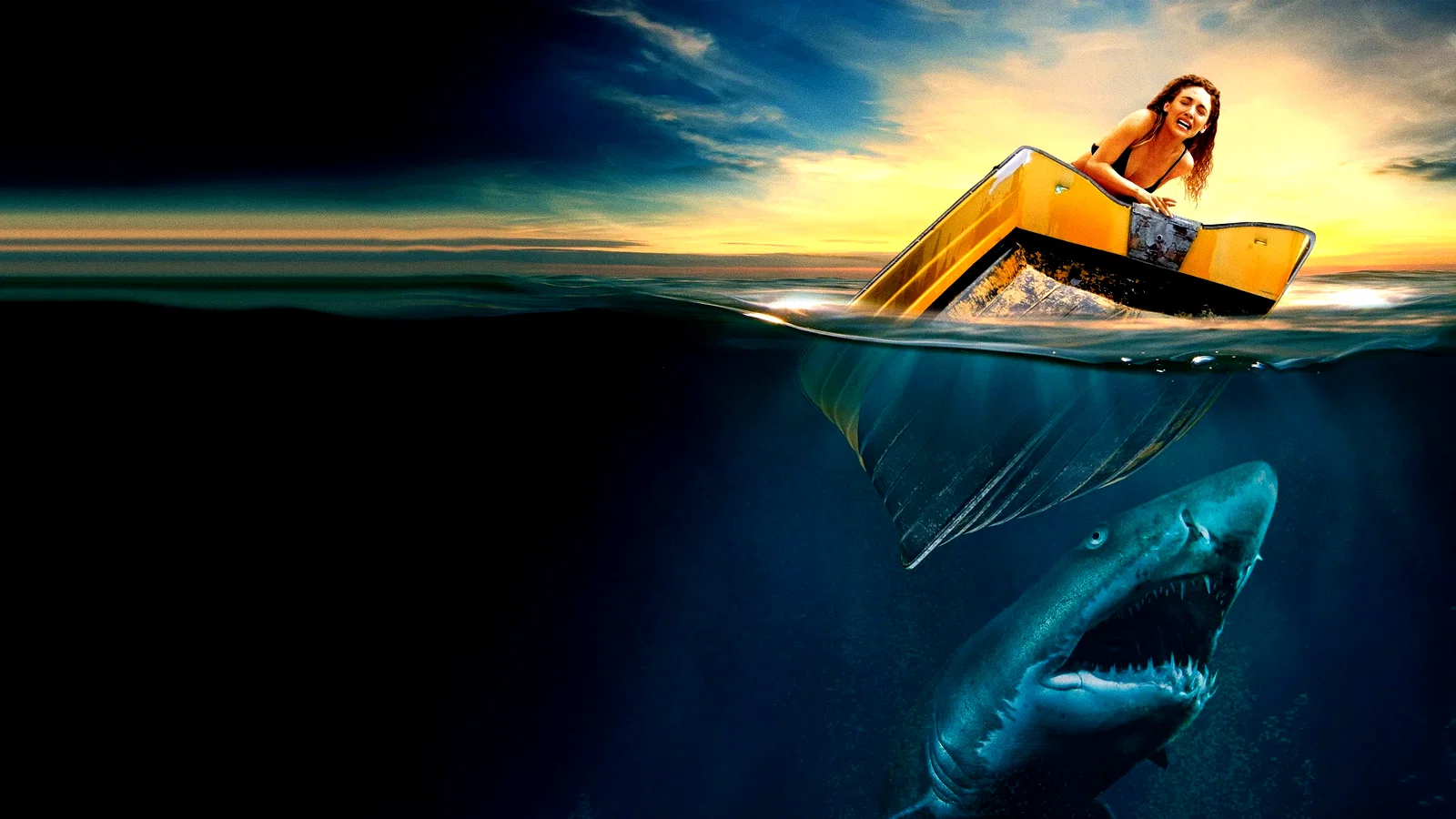 Photo 3 du film : Shark Waters