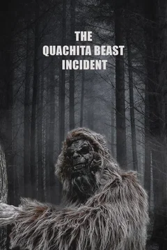 Affiche du film The Quachita Beast Incident