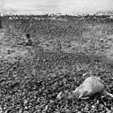 Photo du film : Cinevardaphoto