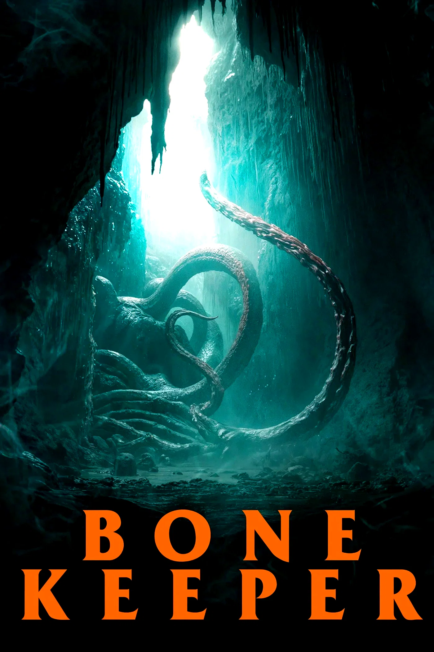 Affiche du film : Bone Keeper