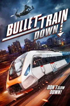 Affiche du film Bullet Train Down