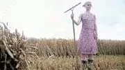 Photo 3 du film : Cette sale terre