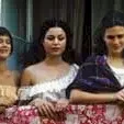 Miniature photo du film : Le miracle selon salome
