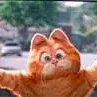 Miniature photo du film : Garfield, le film