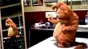 Photo 8 du film : Garfield, le film