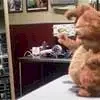 Miniature photo du film : Garfield, le film
