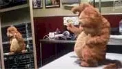 Photo du film : Garfield, le film
