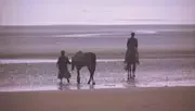 Photo 4 du film : Basse normandie