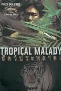 Affiche du film Tropical malady