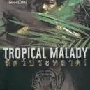 Photo du film : Tropical malady