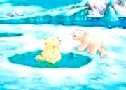 Photo du film : Plume, le petit ours polaire
