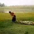 Photo du film : Mê Thao, il fut un temps