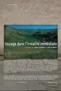 Affiche du film = Voyage dans l'irrealite immediate