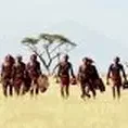 Miniature photo du film : Massai, les guerriers de la pluie
