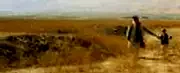 Photo 3 du film : Terre et cendres
