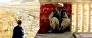 Photo 4 du film : Terre et cendres