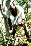 Photo 5 du film : Ayurveda