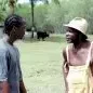 Photo du film : Neg maron