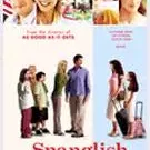 Photo du film : Spanglish