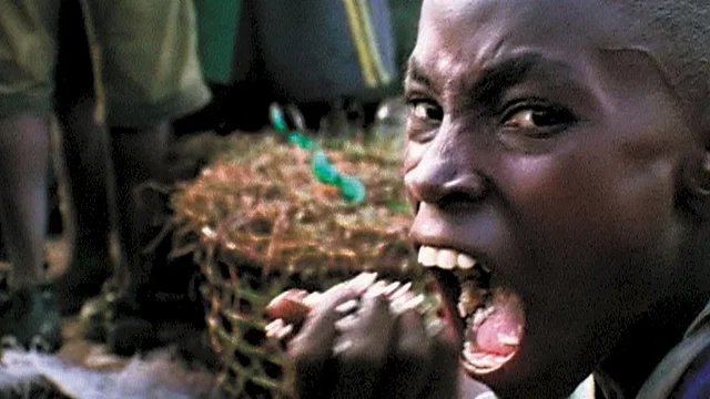 Photo 2 du film : Le Cauchemar de Darwin 