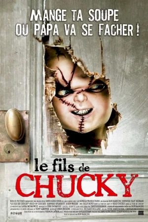 Affiche du film : Le fils de chucky