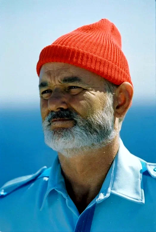 Photo du film : La vie aquatique