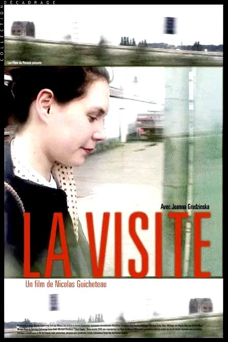 Affiche du film : La visite