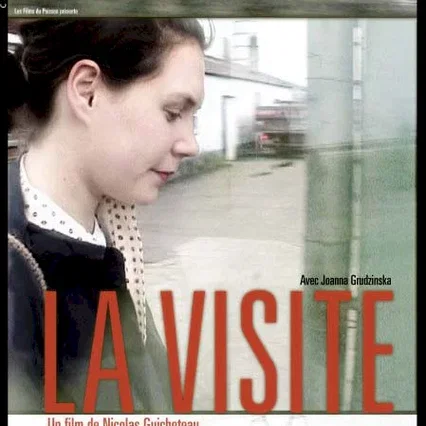 Miniature photo du film : La visite