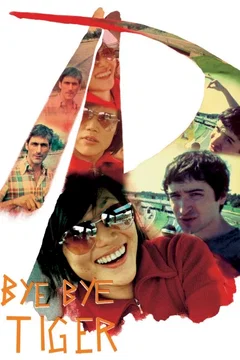 Affiche du film Bye bye tiger