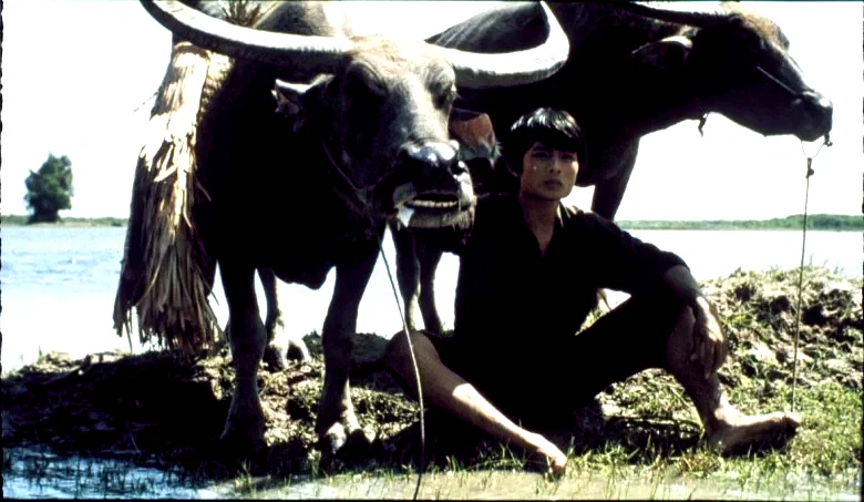 Photo 2 du film : Gardien de buffles