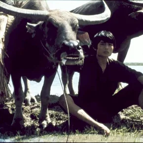 Photo du film : Gardien de buffles