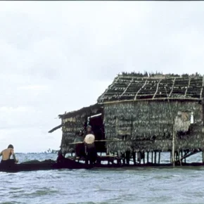 Photo du film : Gardien de buffles