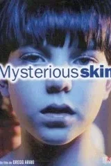 Affiche du film Mysterious skin